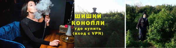 ПСИЛОЦИБИНОВЫЕ ГРИБЫ Краснотурьинск