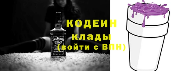 молекула духа Краснослободск