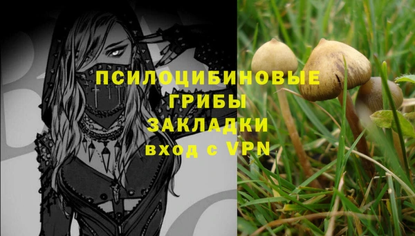 дурь Коряжма
