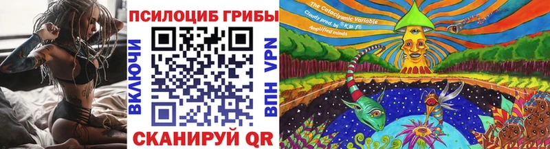 Купить закладки  Сольцы  Псилоцибиновые грибы GOLDEN TEACHER 